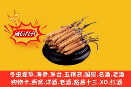 芜湖市镜湖求购回收虫草多少钱每克